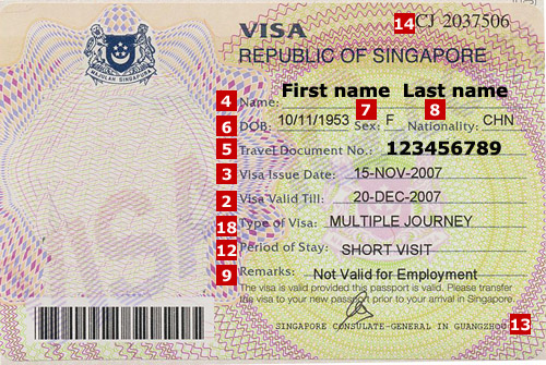 singapore tourist visa form india